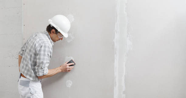 Best Drywall Removal and Disposal  in Mccleary, WA